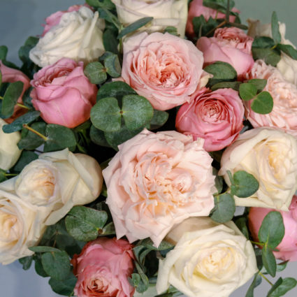 21 ароматная садовая роза в шляпной коробке