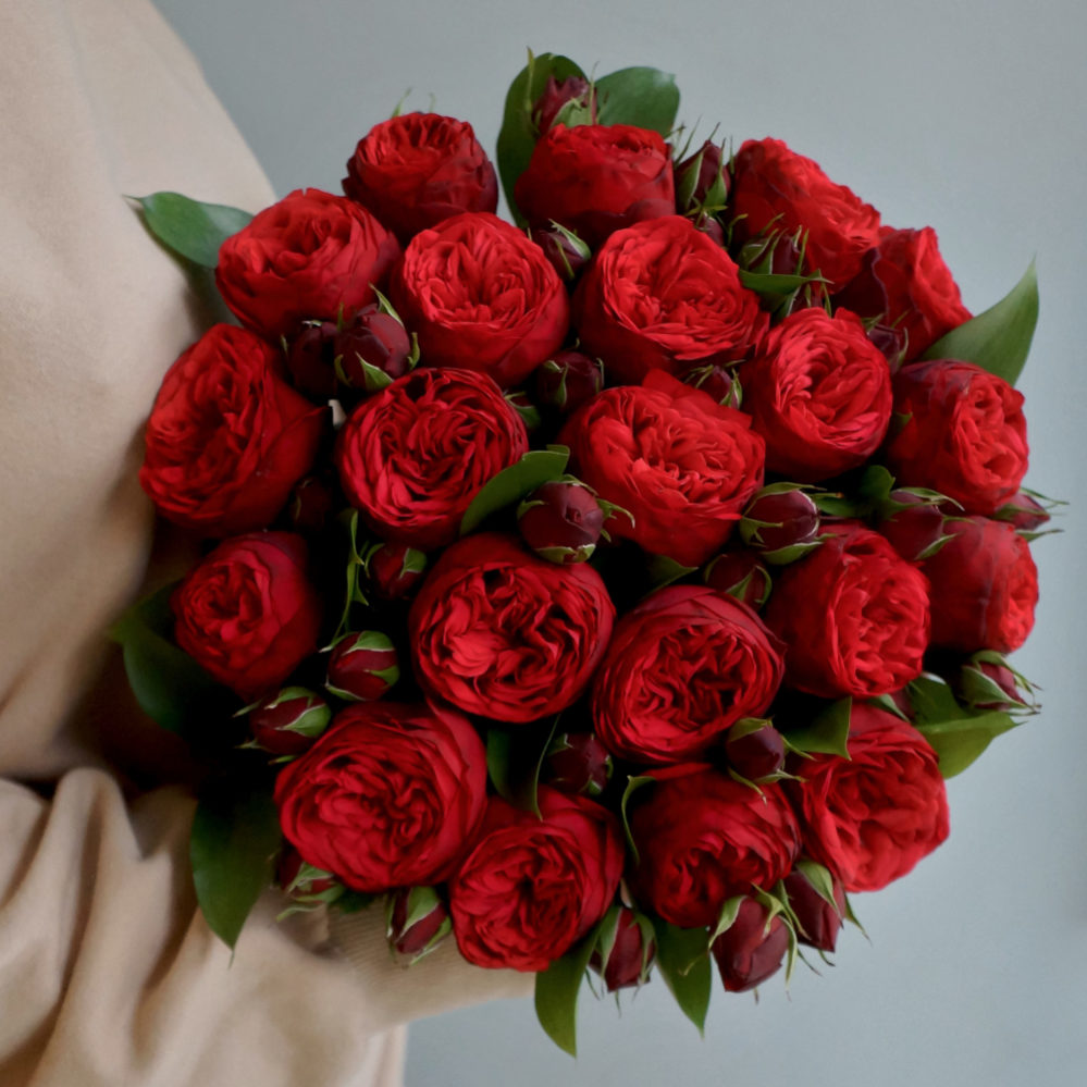 Букет из 21 кустовой пионовидной розы Red Piano
