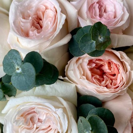 Букет из 15 ароматных роз с эвкалиптом