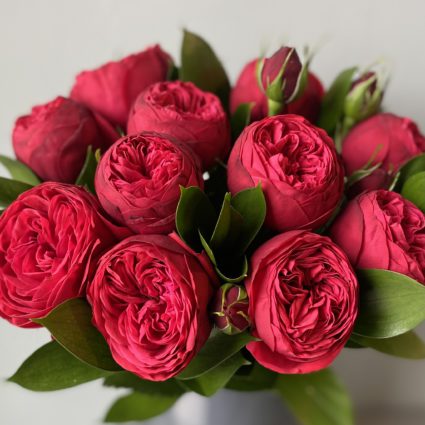 Букет из 11 кустовых пионовидных роз Red Piano