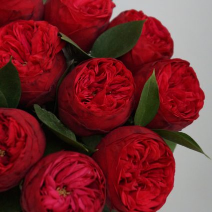 Букет из 11 пионовидных роз Red Piano