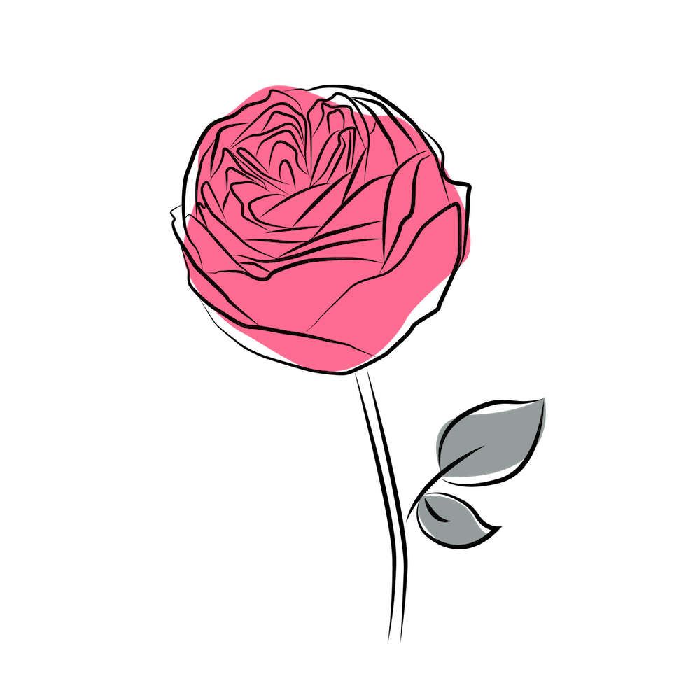 Пионовидная роза, лого, виды роз, сорта пионовидных роз