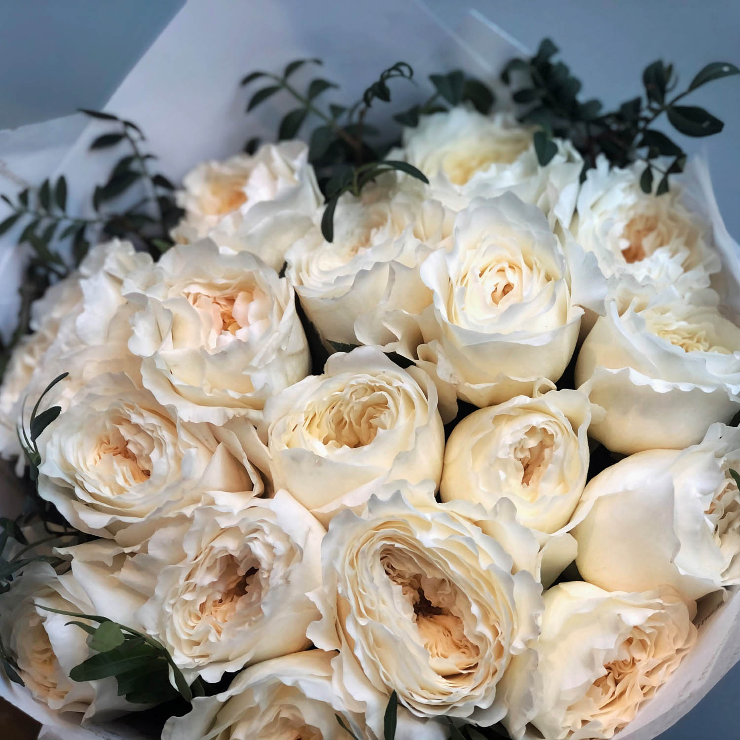 Наиболее популярные сорта садовых пионовидных роз