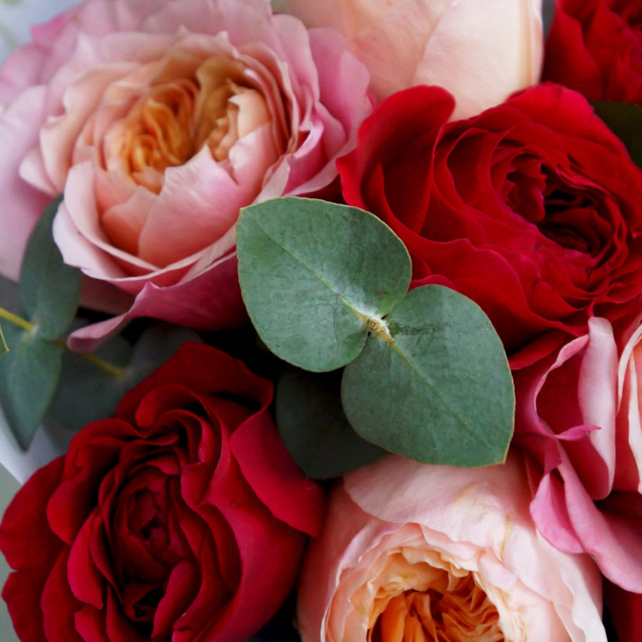 Яркий микс из 9 садовых и пионовидных роз | Во Имя Розы