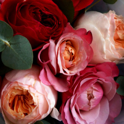 Яркий микс из 9 садовых и пионовидных роз