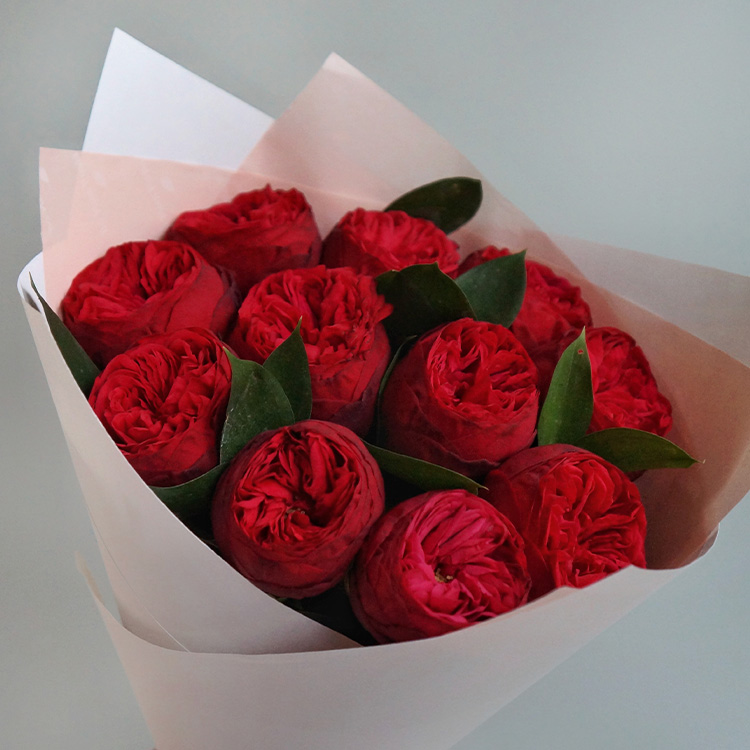 букет алых пионовидных роз на подарок девушке на 14 февраля