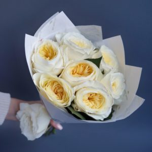 белые розы, значение белых роз