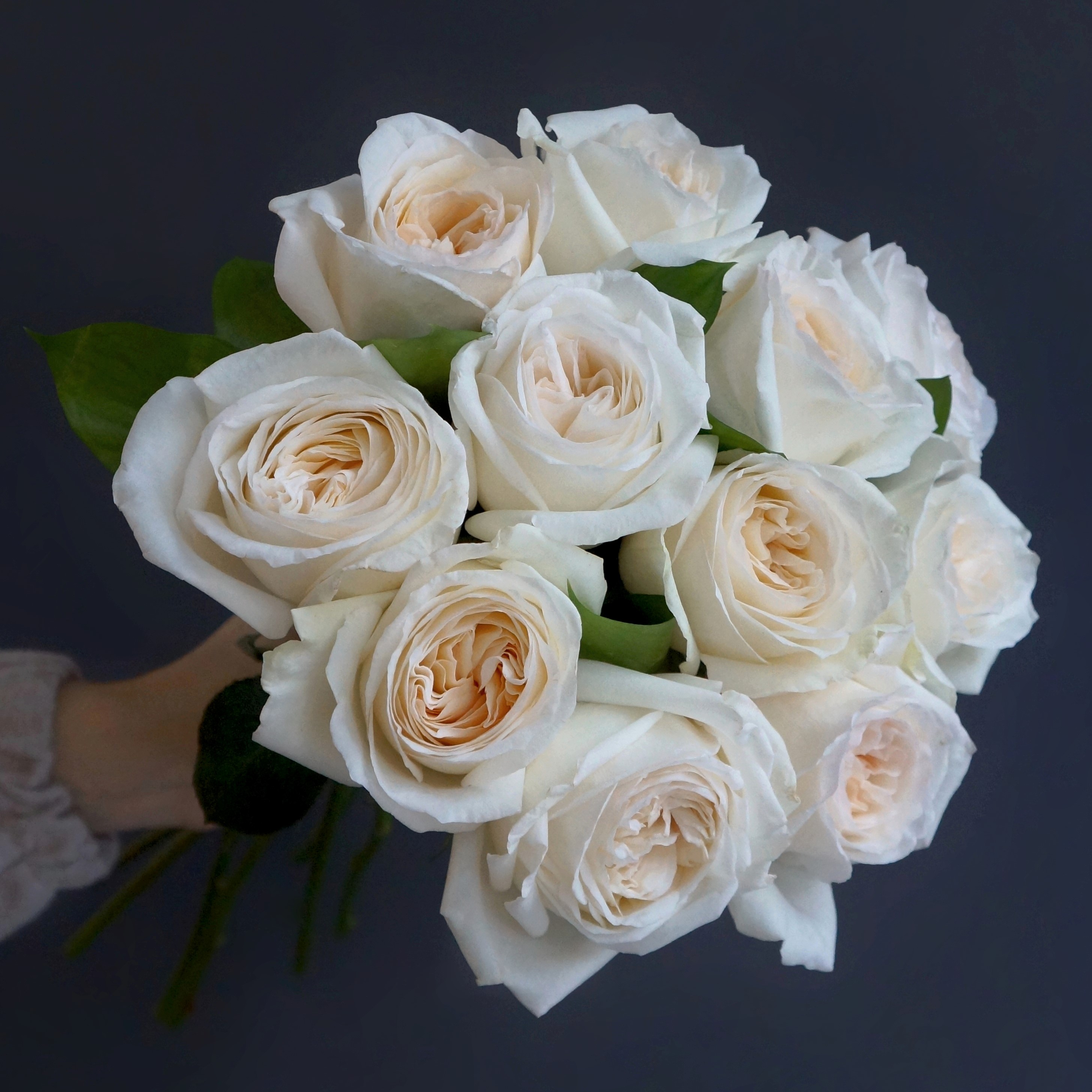 11 Белых роз
