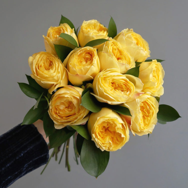 желтые розы, сорта желтых роз, Catalina (Каталина), пионовидные желтые розы описание, букет из желтых роз, букет из пионовидных желтых роз
