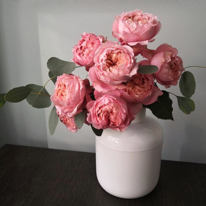 Розы в вазе – как дольше их сохранить