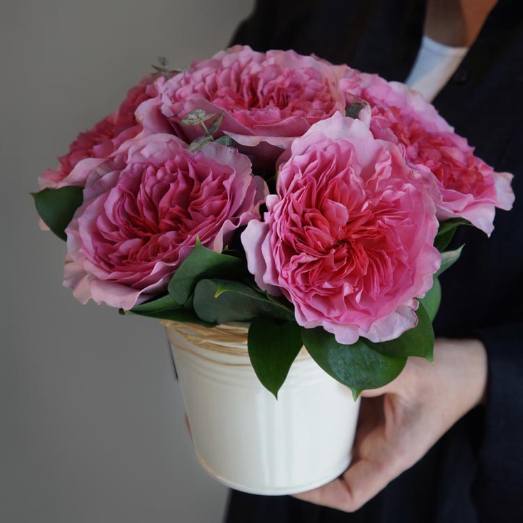 какого цвета бывают розы, розовые розы,букет розовых роз роз в ведерке, розовые пионовидные розы, сорта розовых роз
