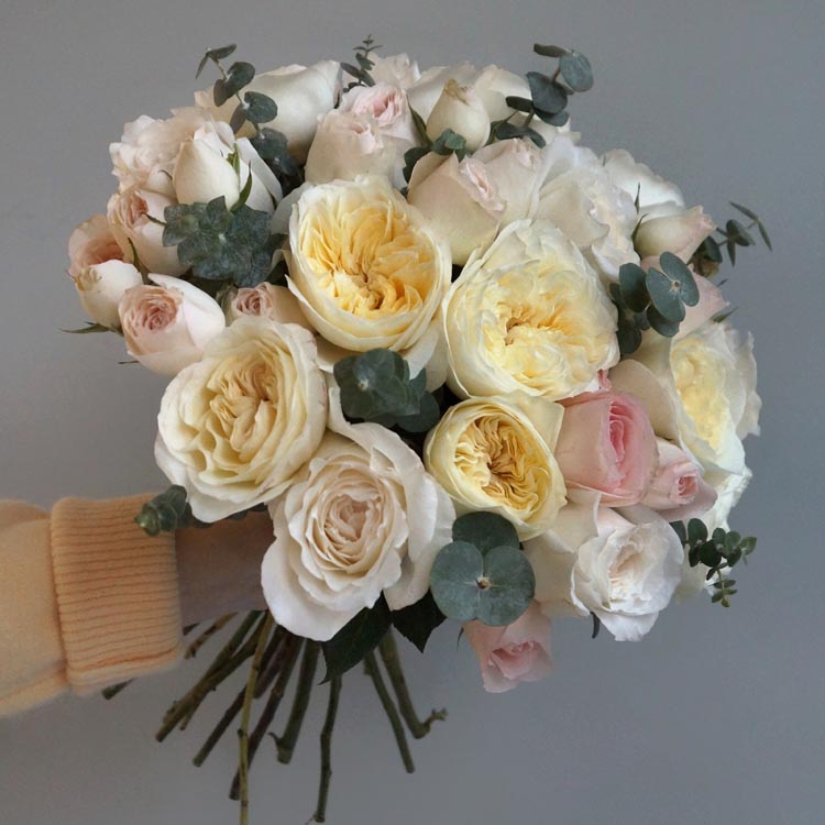 какого цвета бывают розы, белые розы, пионовидные белые розы, сорта белых роз, какого цвета выбрать розы?