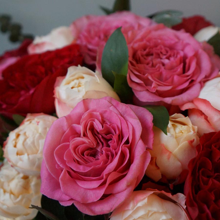 сорта розовых роз, Аshley, розовые садовые розы, букет из розовых, бежевых и красных роз” width=“300” height=