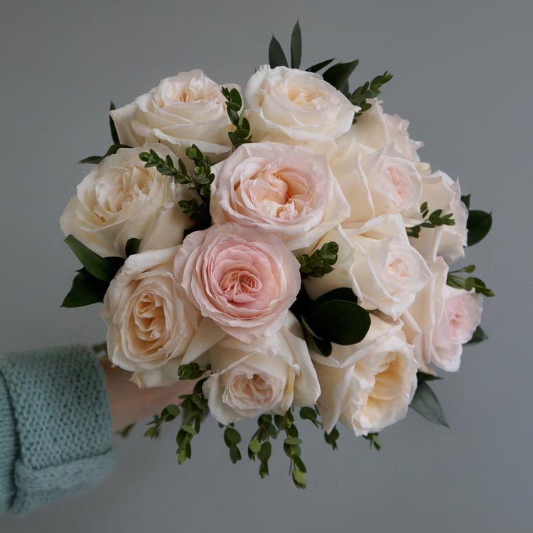 какого цвета бывают розы, белые розы, пионовидные белые розы, сорта белых роз, какого цвета выбрать розы?, классическая белая роза, букет из белых роз