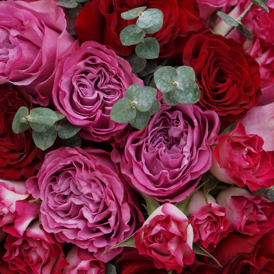Queens Crown, сорта розовых роз, стойкая ароматная роза английской селекции, букет из малиновых и красных роз с эвкалиптом
