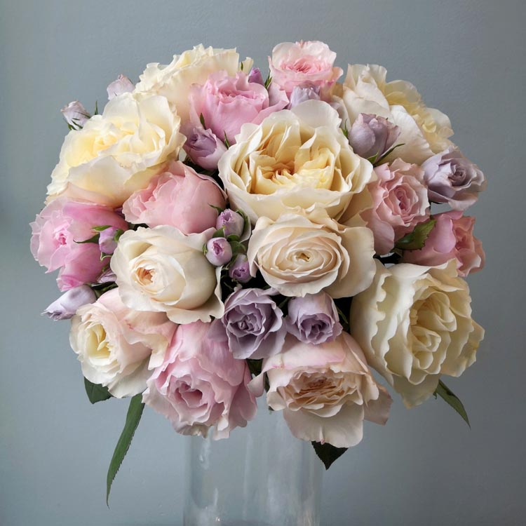 какого цвета бывают розы, кремовые розы, какого цвета выбрать розы, букет из кремовые, пастельно розовых и лавандовых роз