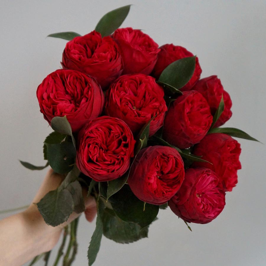 красный букет невесты из пионовидных роз, маленький букет красных роз для невесты