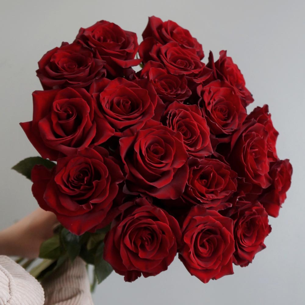 красные розы, значение красных роз, сорта красных роз, Freedom (Фридом) сорт красных классических роз, букет из красных классических роз