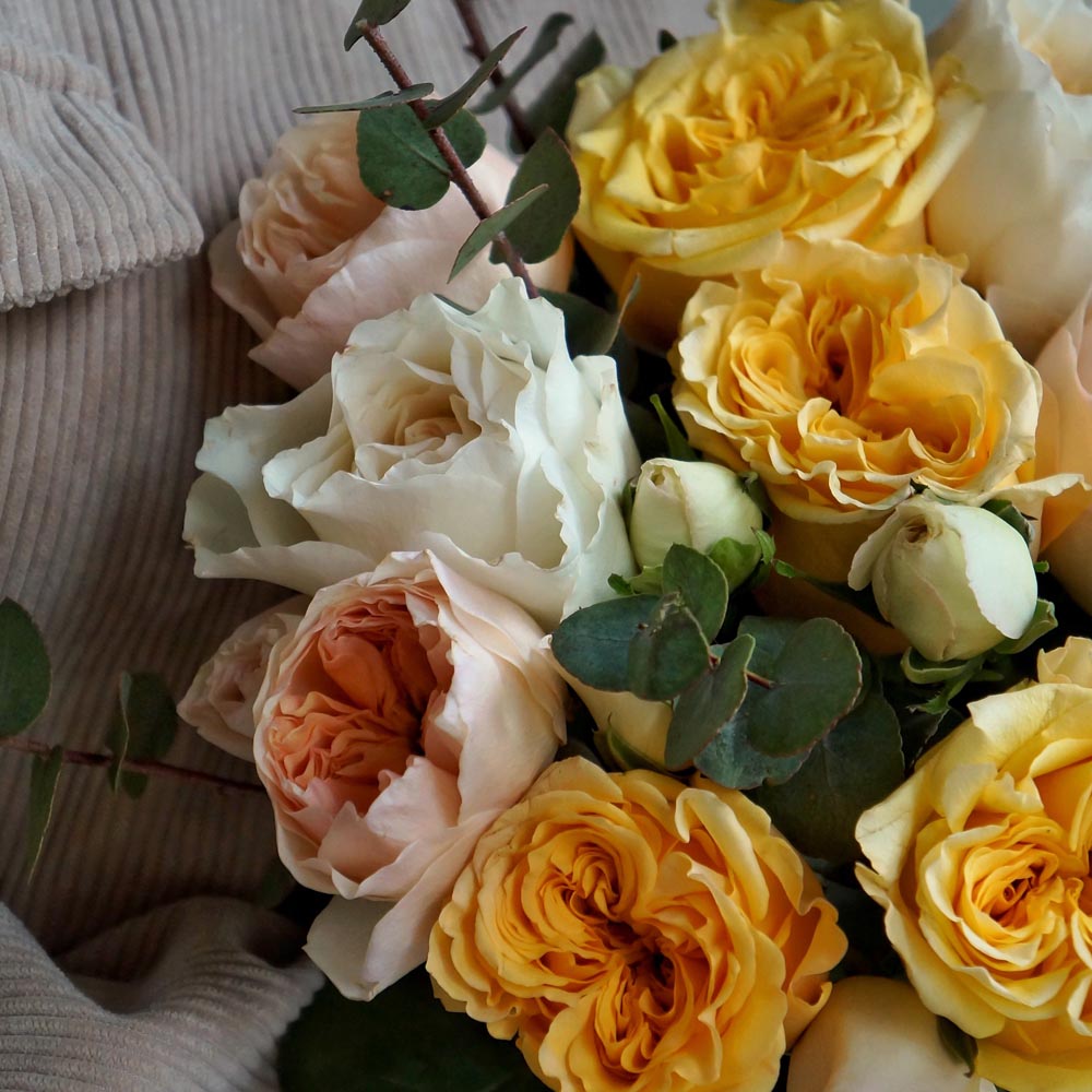 желтые розы, Country Sun (Кантри Сан) сорта садовых желтых роз, букет из желтых и бежевых садовых роз