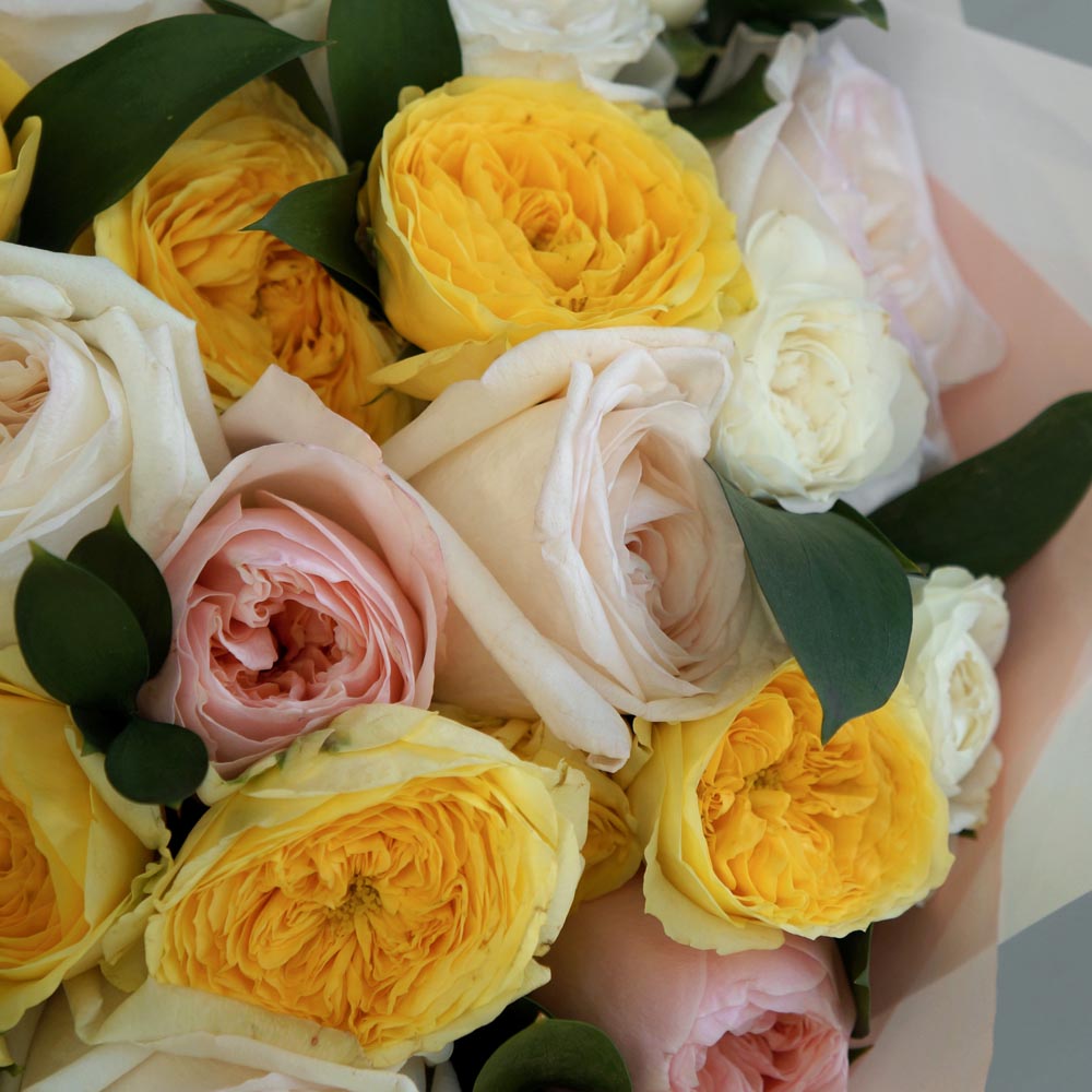 желтые розы, сорта желтых роз, Lemon Pompon (Лимон Помпон), пионовидные желтые розы описание, букет из желтых и бежевых роз