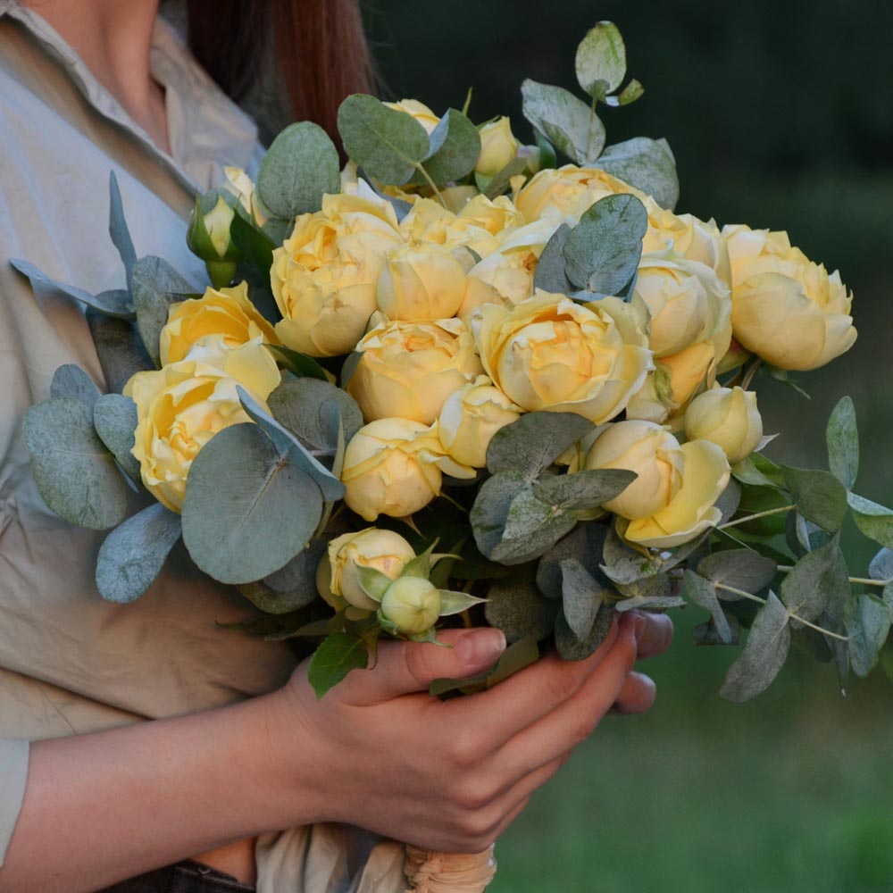сорта желтых роз описание, Julietta Limoncello (Джульетта Лимончелло) желтые розы, букет из желтых роз, букет из желтых роз с эвкалиптом