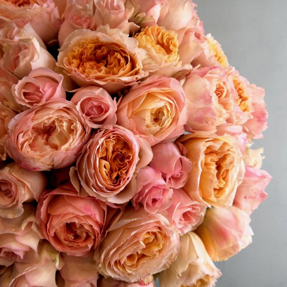 сорта желтых роз, значение желтых роз, Beatrice (Беатрис) сорт желтых роз описание, букет из желтых и оранжевых роз