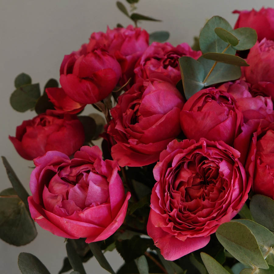 Julietta (Джульетта), cорта кустовых роз в букетах, букет из розовых кустовых роз с крупными бутонами в вазе