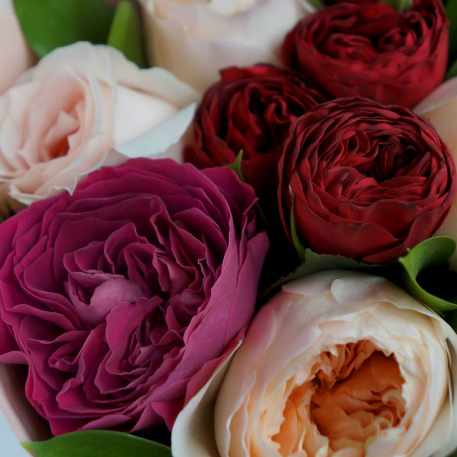 Lace (Лейс) садовые розы для букетов, сорта садовых роз в букетах, отличие обычных роз от садовых в букетах