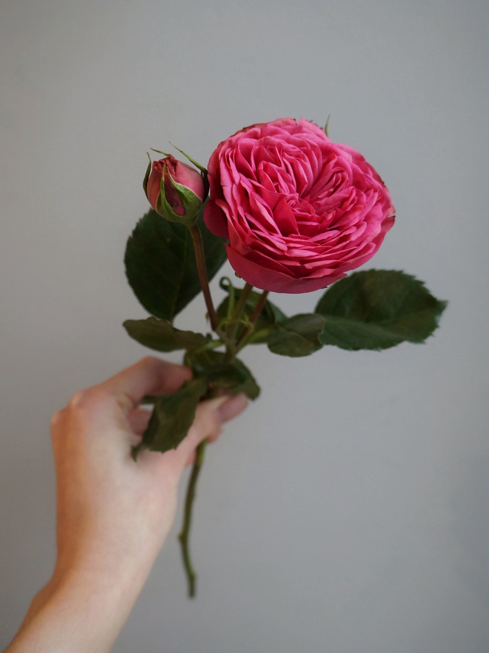 Поделки из лепестков роз своими руками