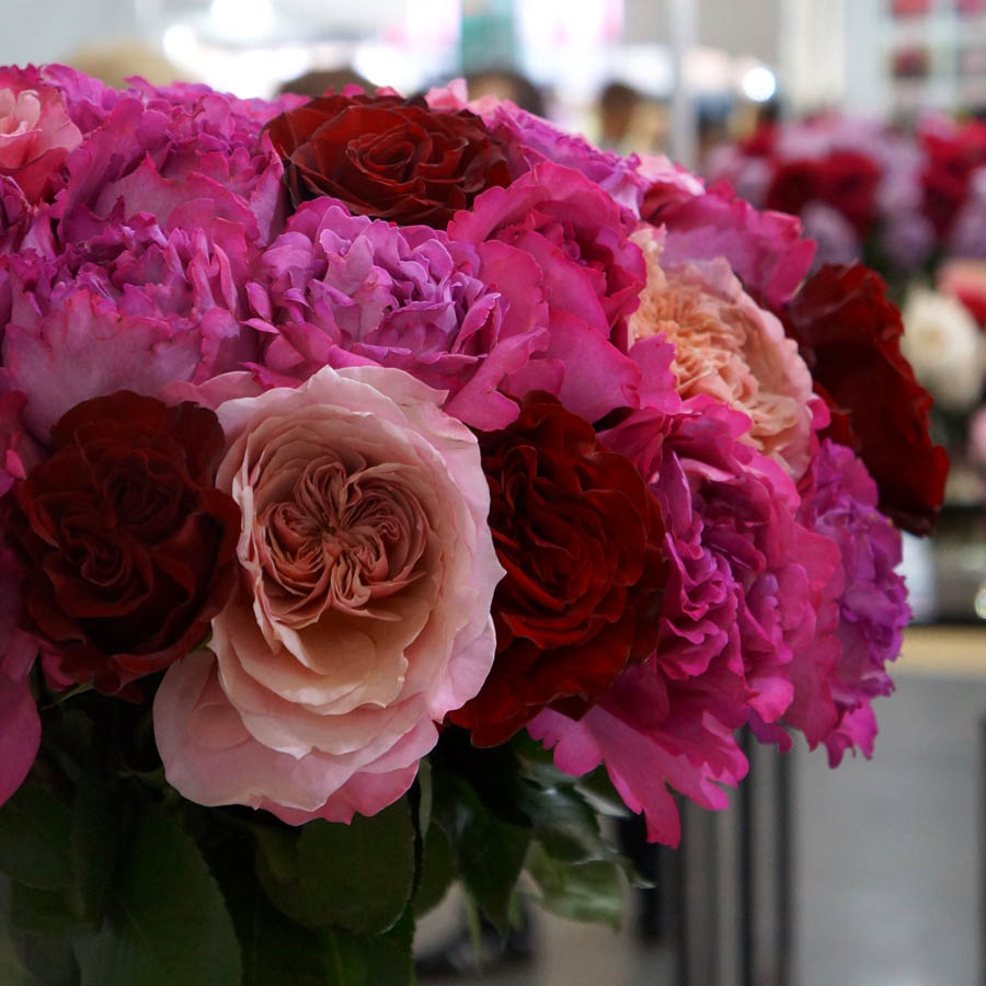 Yves Piaget (Ив Пьяже) розы, самые ароматные розы, роза с насыщенным цитрусовым ароматом, парфюмированная роза, букет из ароматных роз, букет розовых. роз