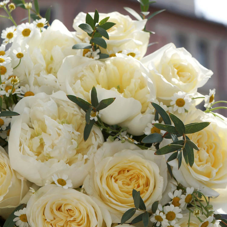 букет цветов чтобы попросить прощение, язык цветов, желтые розы и ромашки
