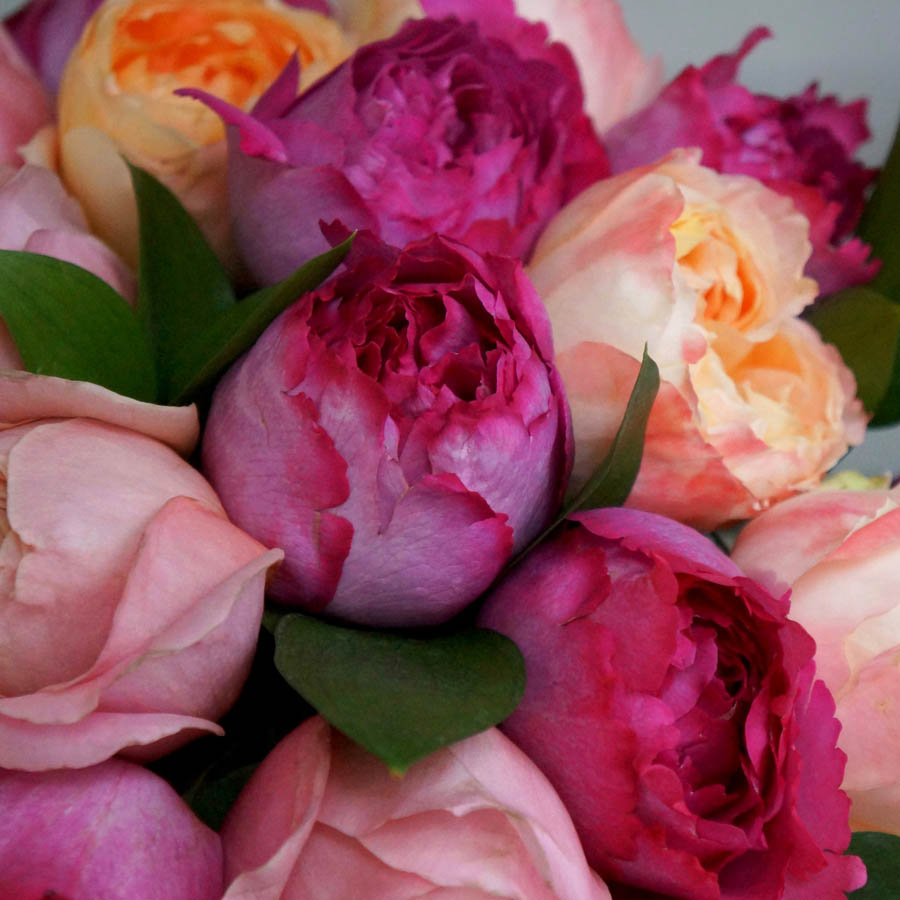 Yves Piaget (Ив Пьяже) розы, самые ароматные розы, роза с насыщенным цитрусовым ароматом, парфюмированная роза, букет из ароматных роз, букет розовых и персиковых роз