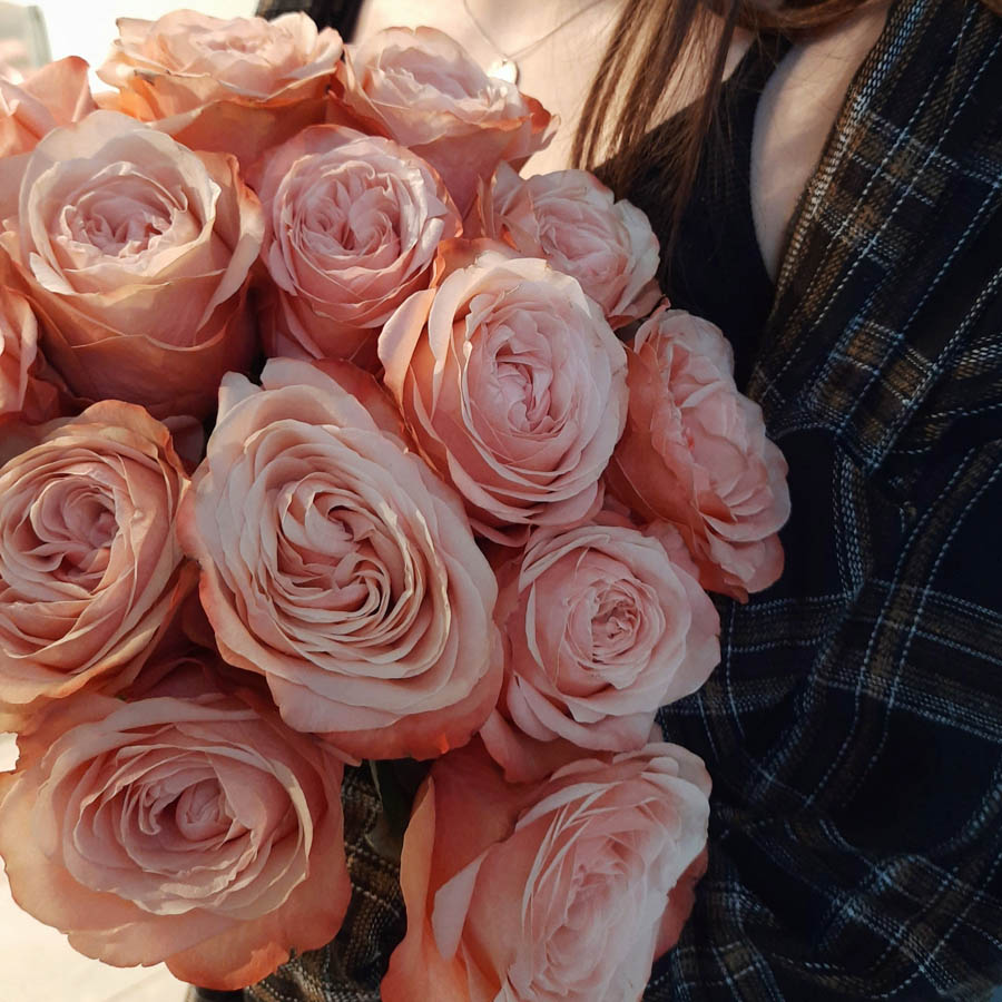 тёплый букет пионовидных роз Kahala (Кахала) светло-терракотового цвета с нежной персиковой сердцевиной, всё про оранжевые розы, сорта роз оранжевых оттенков
