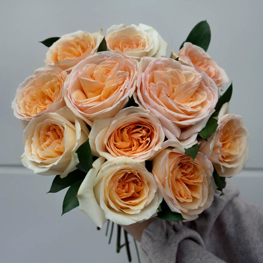 изящный букет насыщенных персиковых роз Princess Maya (Принцесса Майя), всё про оранжевые розы, сорта роз оранжевых оттенков