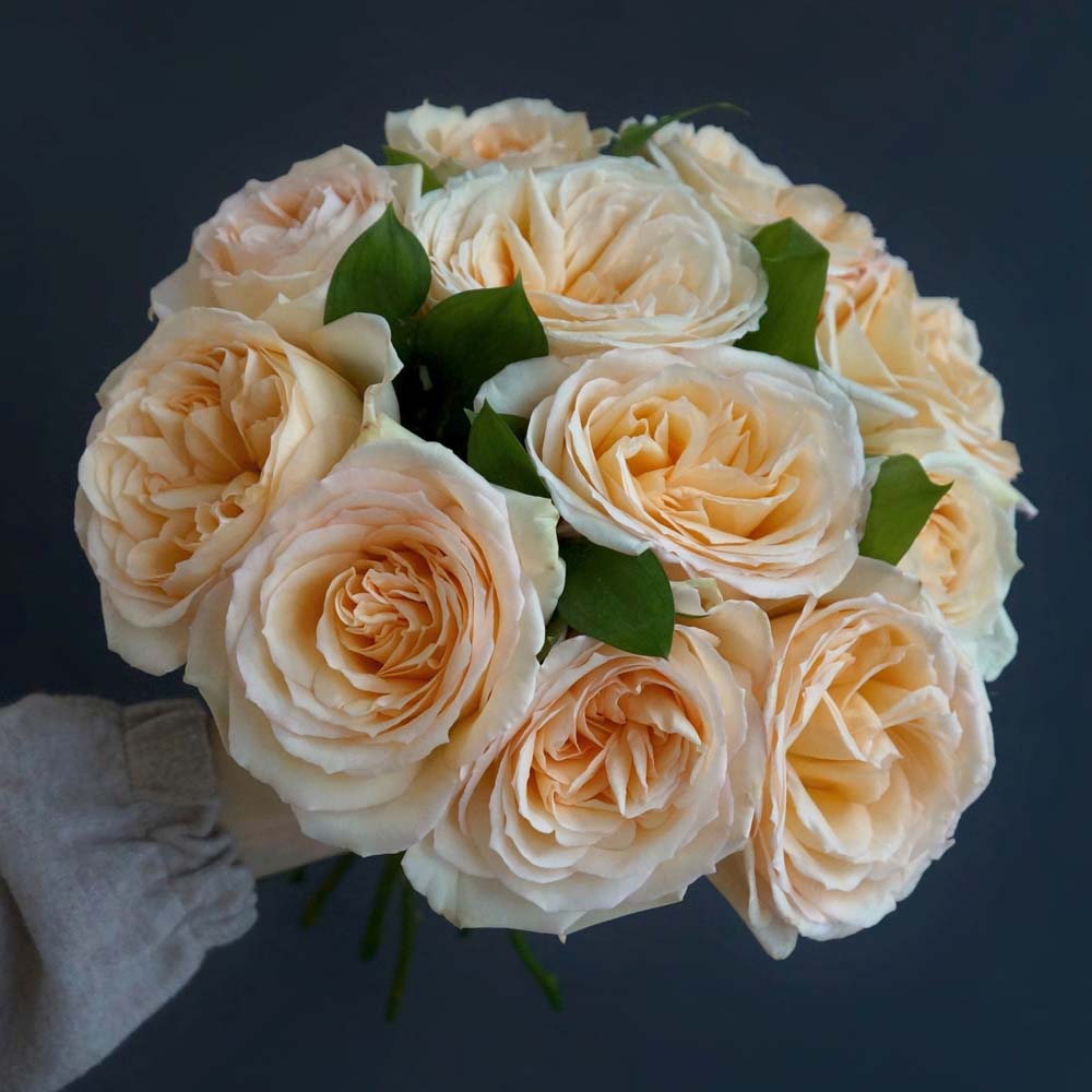 эдит, edith, персиковые розы, персиковые розы, цвет года 2024 пантон персиковый пух во флористике, персиковый цвет во флористике