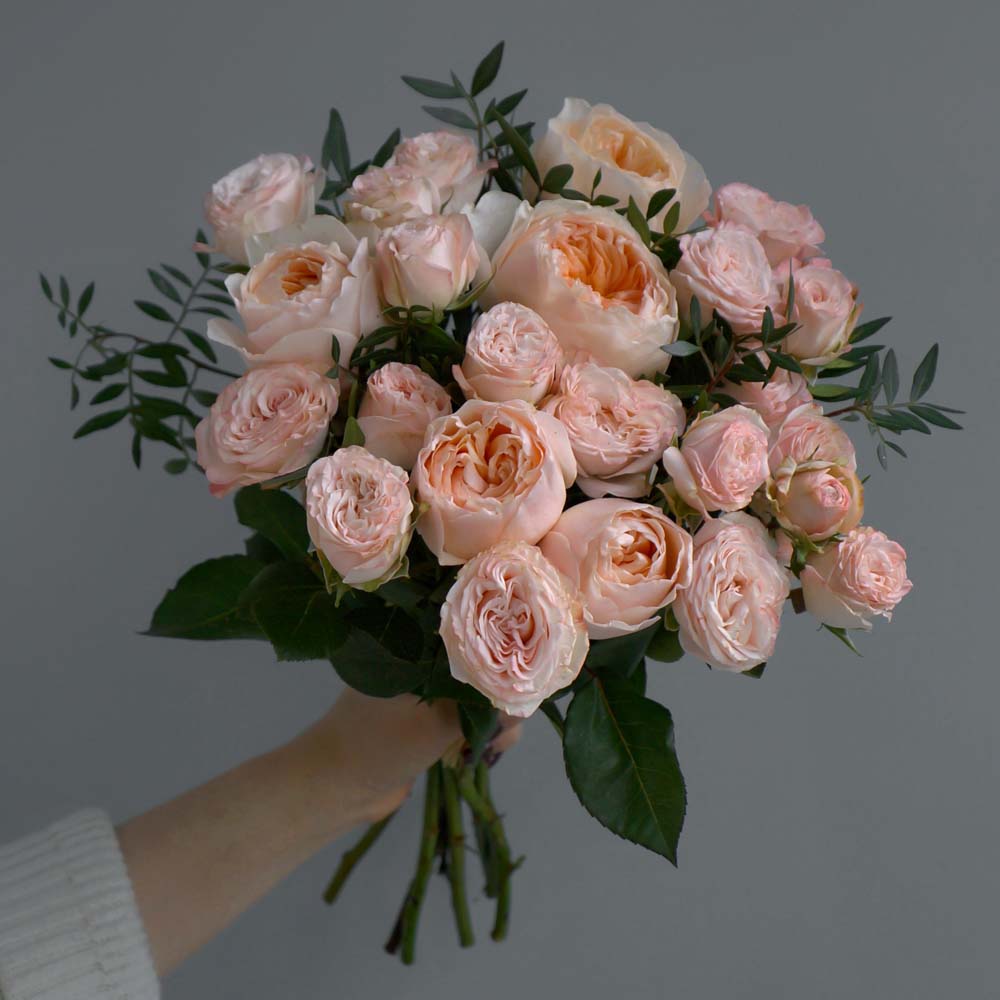 розы, цветы для аллергиков, подходящие аллергикам цветы, какие цветы дарить аллергикам
