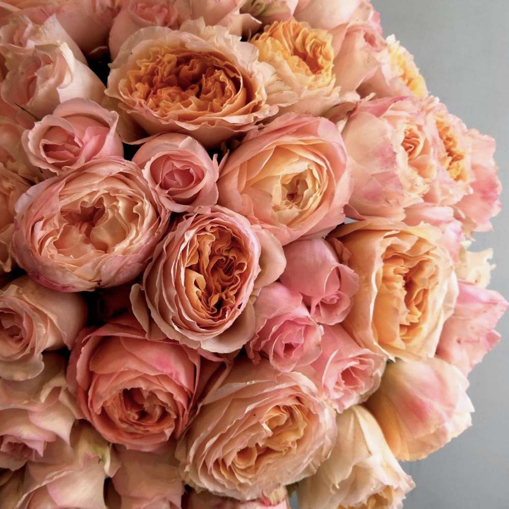 букет из персиковых роз, цвето года 2024 персиковый пух во флористике