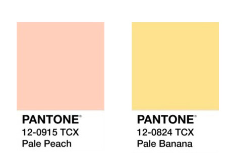 трендовые цвета свадебной флористики 2024, пастельная гамма для свадебной флористики, пастельные цвета для свадьбы пантон, pantone pale peach, pale banana